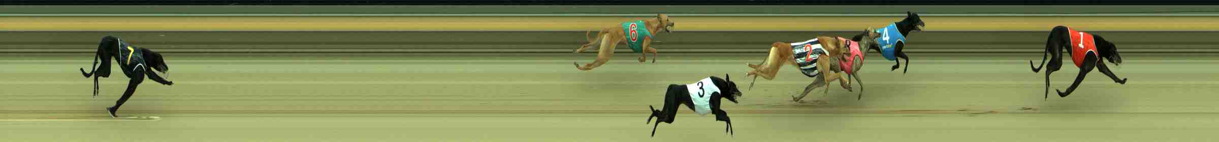 Race result finish photo